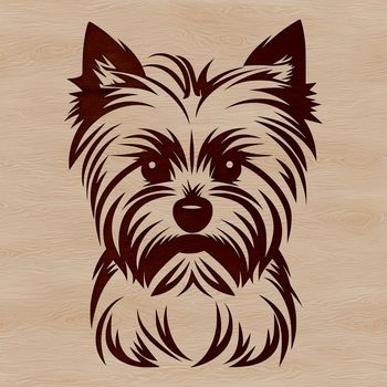 A close-up illustration of a Yorkshire Terrier's head, ideal for clip art and vector design.