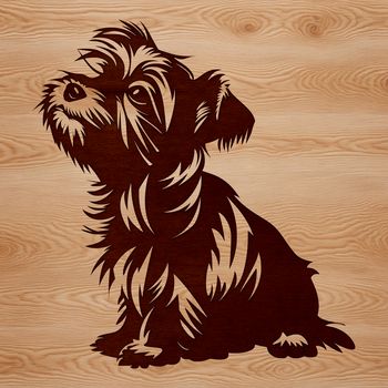 A small dog breed sitting on its haunches, identified as a Yorkshire Terrier.