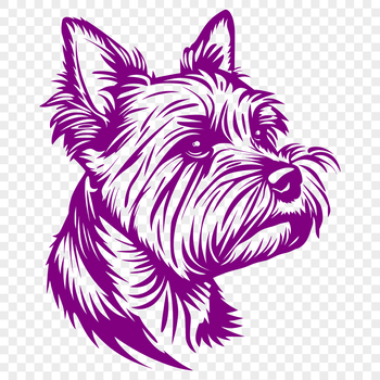 A small dog with a distinctive head shape and short legs, typically known as a Yorkshire terrier breed.