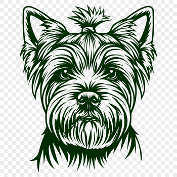 Illustration of a small Yorkshire Terrier dog's head with detailed features.