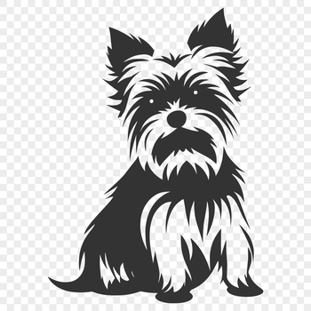 Illustrative vector graphic of a full-bodied Yorkshire Terrier sitting on its haunches.