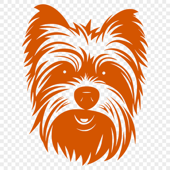 A small breed dog's head with distinctive features.