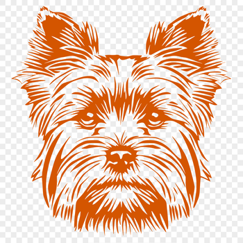 A small breed dog's head with a distinctive face and coat pattern.