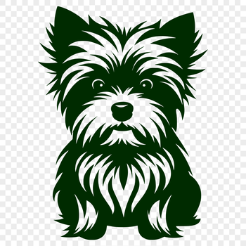 A small breed dog with a long coat, sitting in profile.
