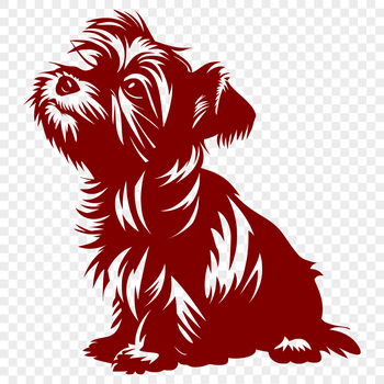 A small breed dog with a distinctive beard and mustache, sitting upright.