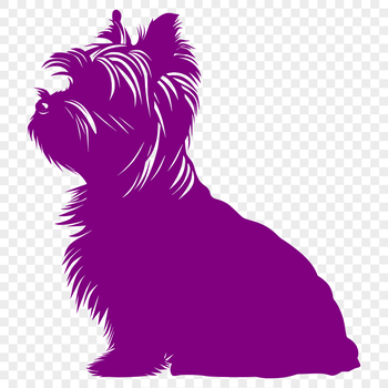 A full-body illustration of a sitting Yorkshire Terrier.