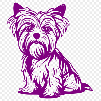 Stunning Yorkshire Terrier Vector Art