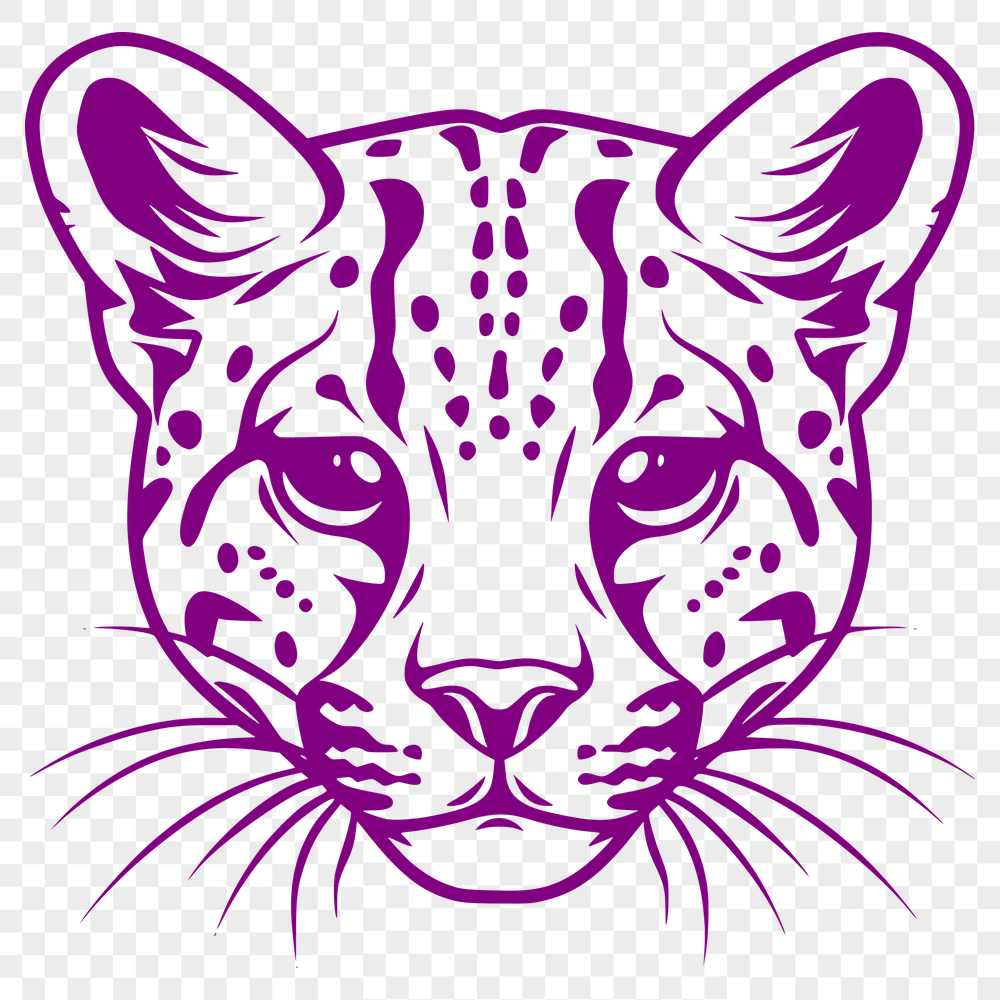 Free Beautiful Big Cat Vector Illustration