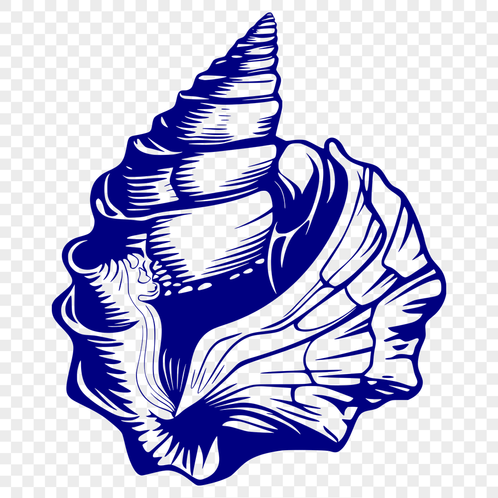 Creative Seashell In SVG, PNG, PDF And DXF File Formats - Free