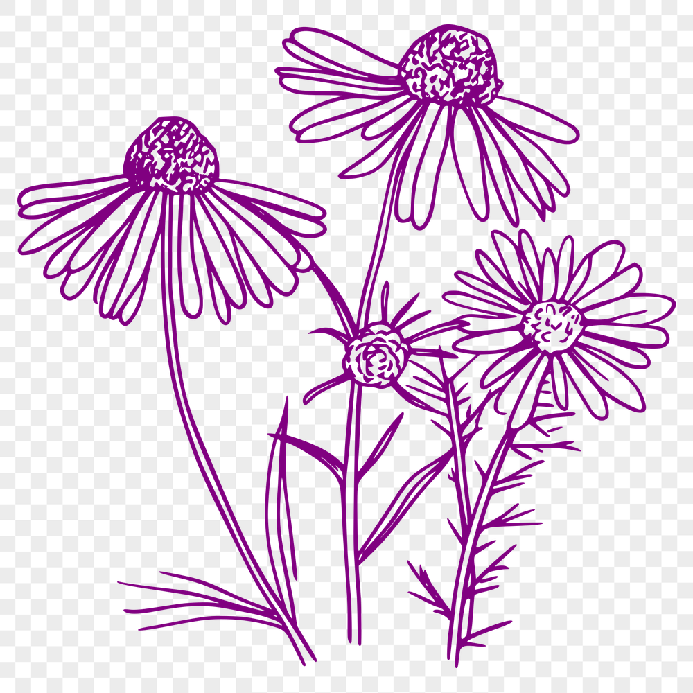 Creative Wild Flower In PDF - Free Digital Download