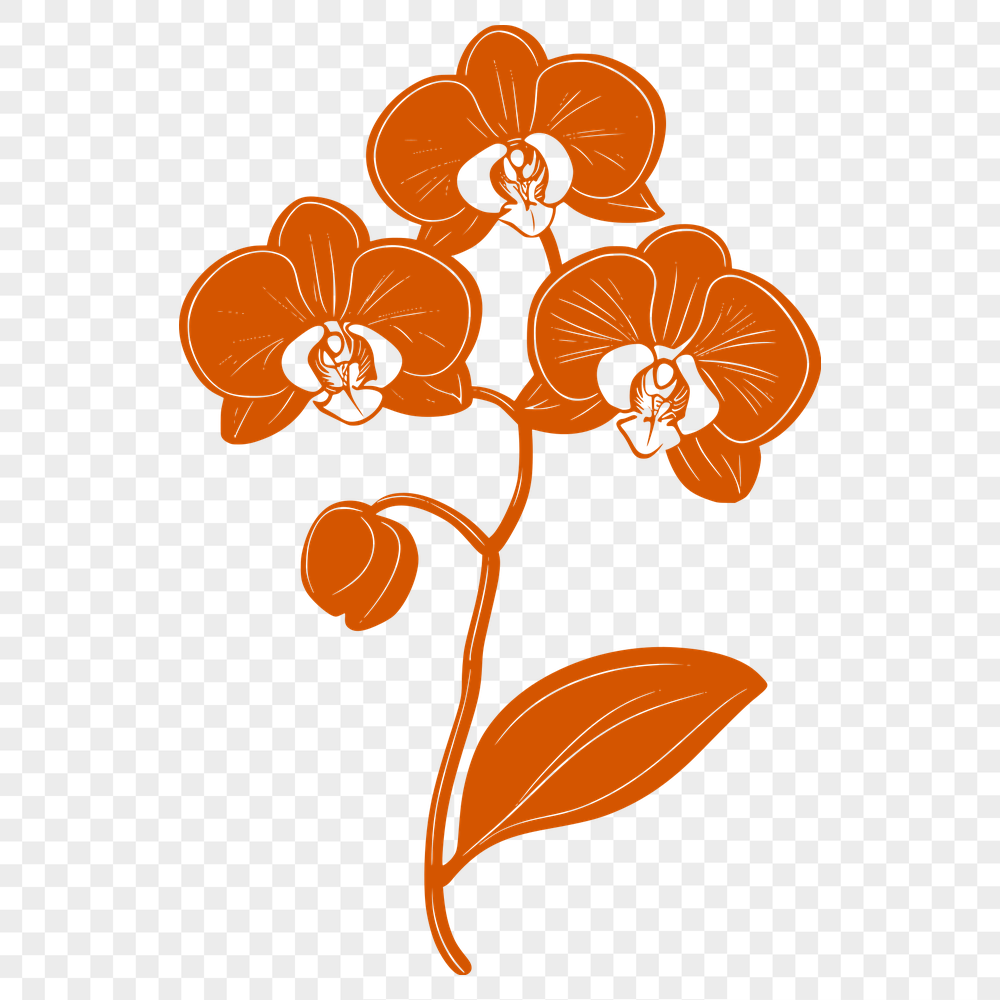 Plant In PNG For Download, Free Commercial Use