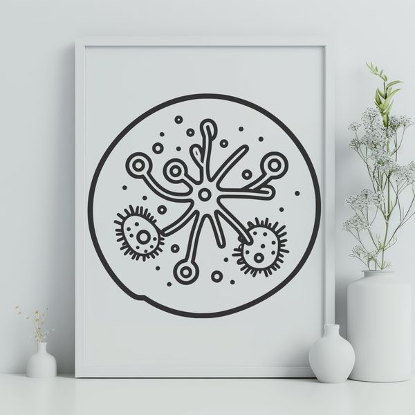 A detailed illustration of a single bacterial cell, created as a vector graphic.