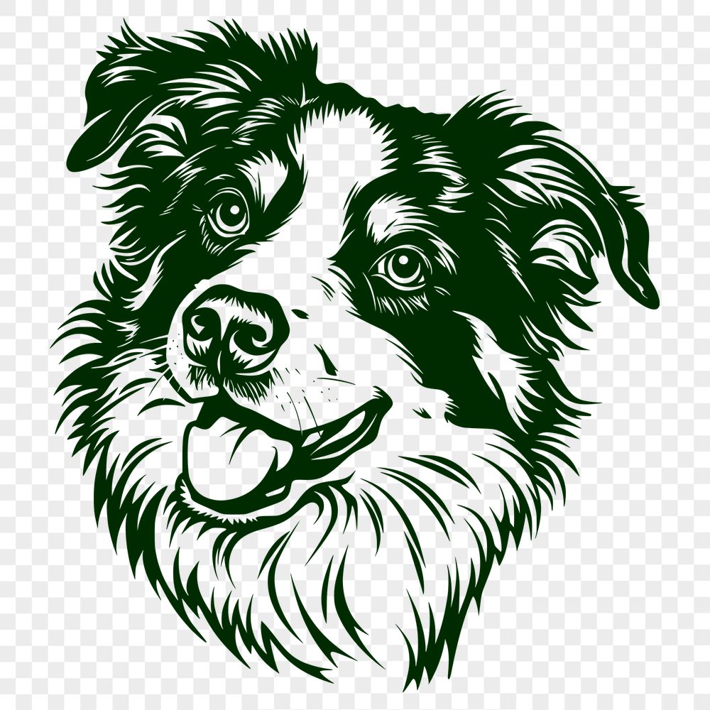 Stunning Australian Shepherd SVG