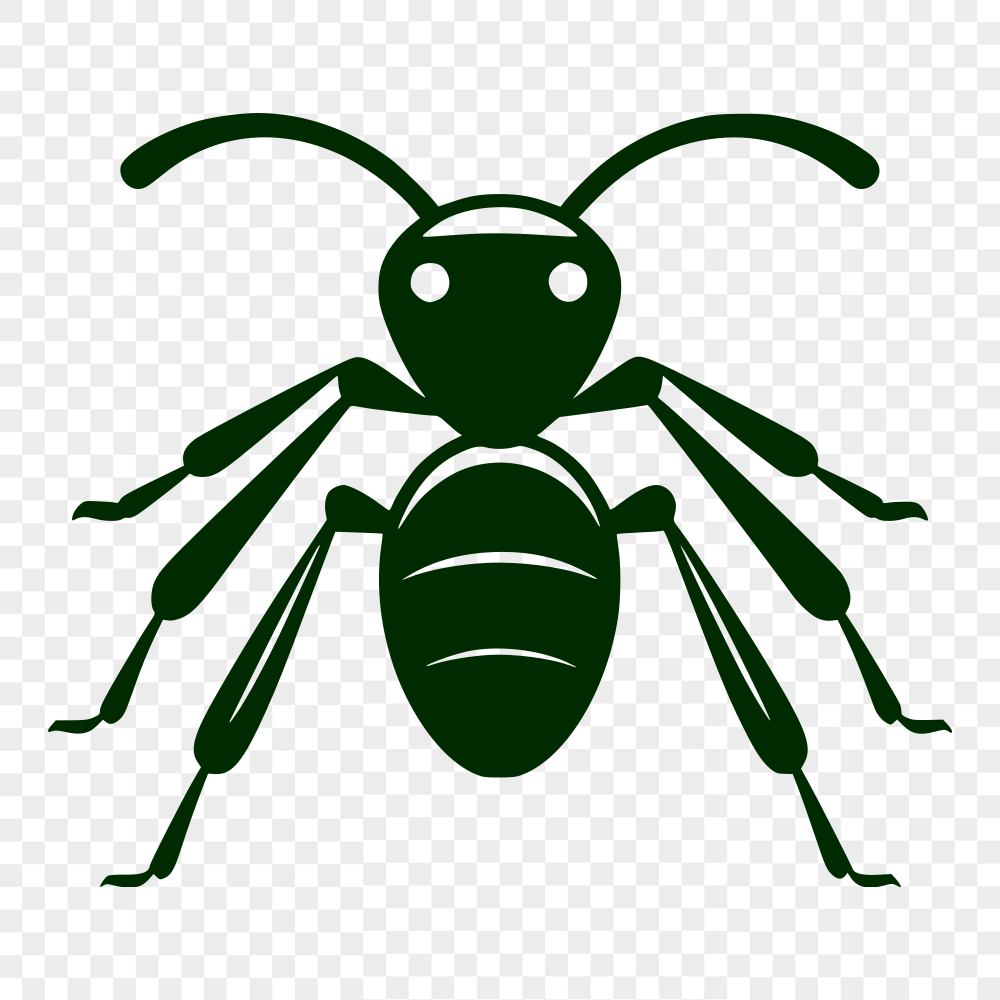 Free Stunning Ant Clip Art