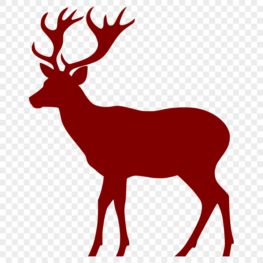 Stunning Deer - Cricut PNG