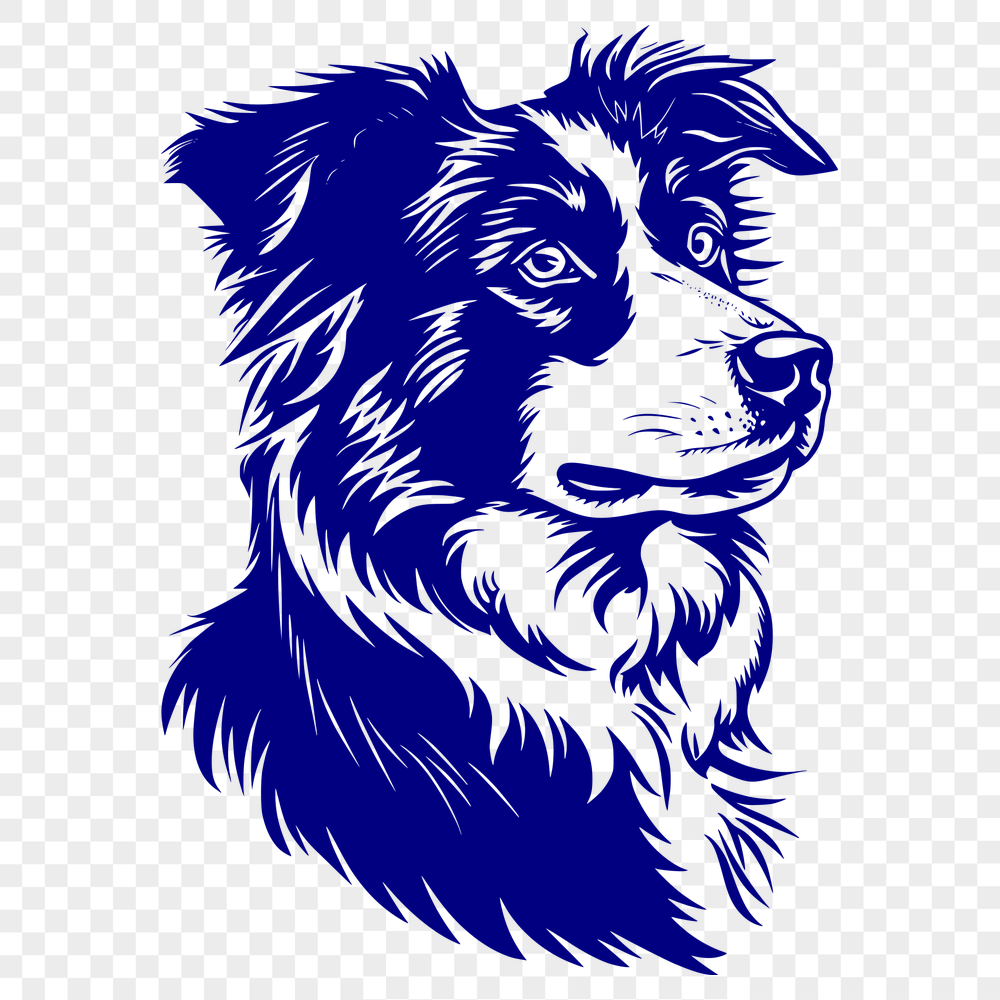 Free Stunning Australian Shepherd Vector Drawing