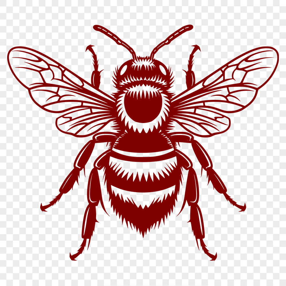 Beautiful Bee Vector Craft File