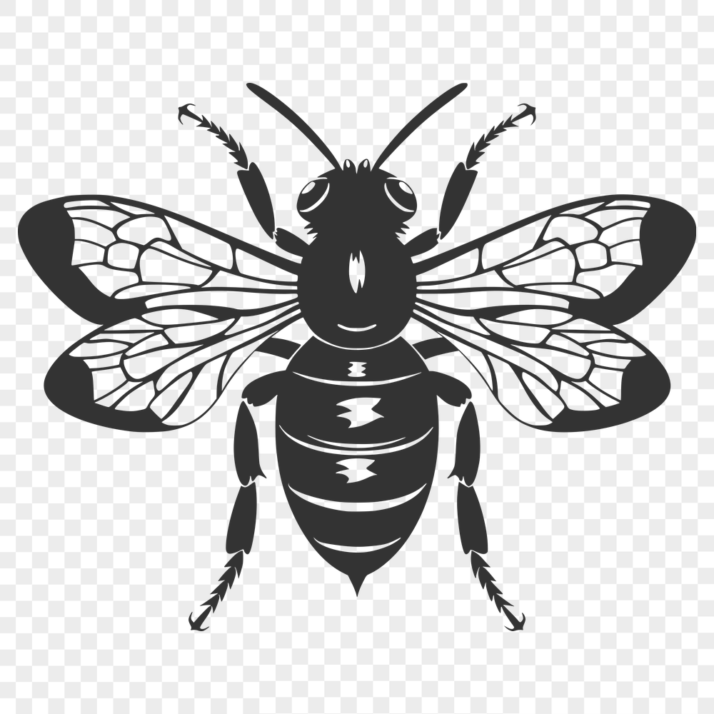 Free Beautiful Bee Clip Art