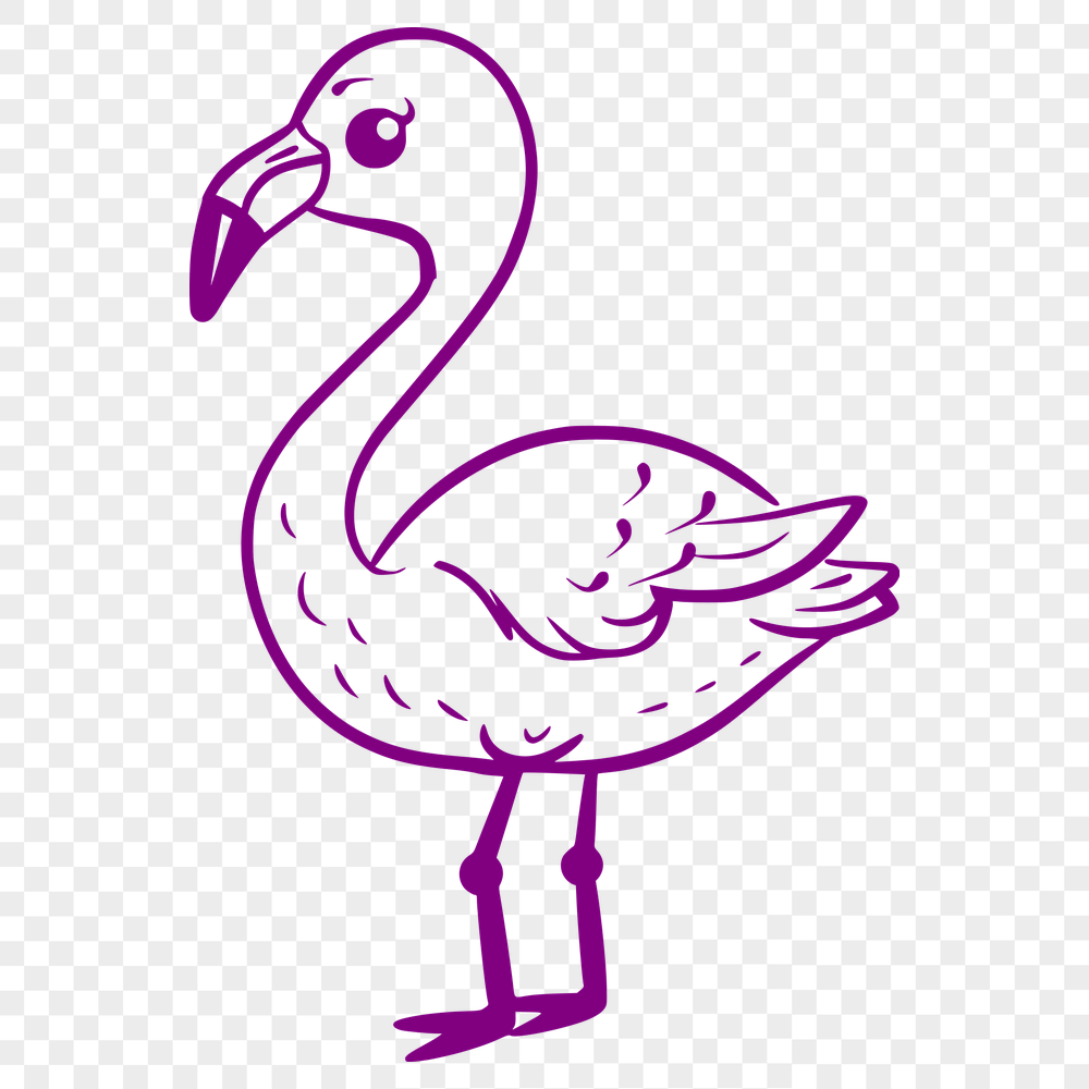 Unique Flamingo Illustration