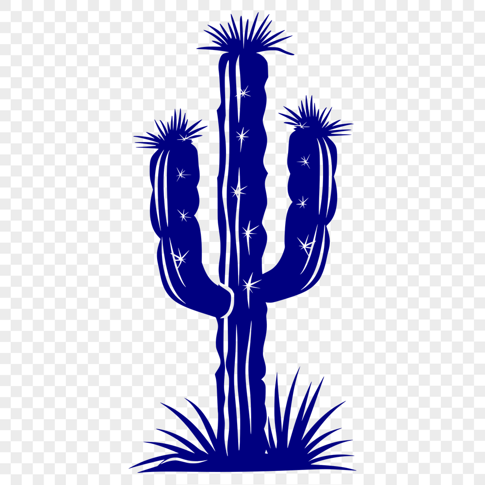 Artistic Cactus PNG