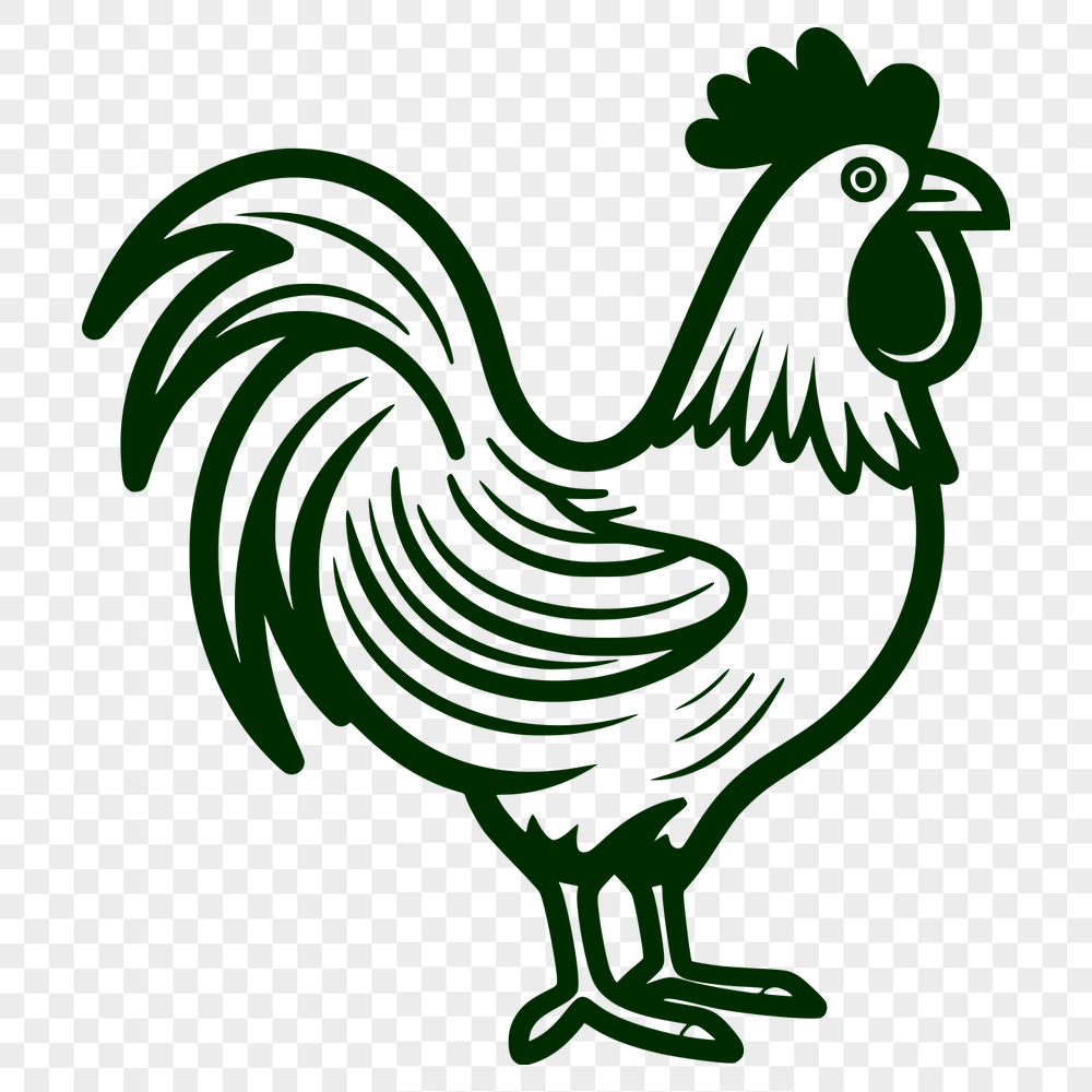 Unique Chicken Image