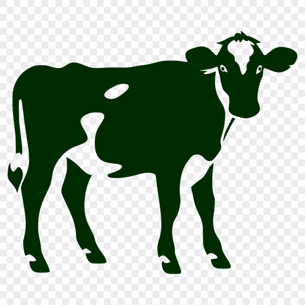 Beautiful Cow SVG, PNG, PDF And DXF Files