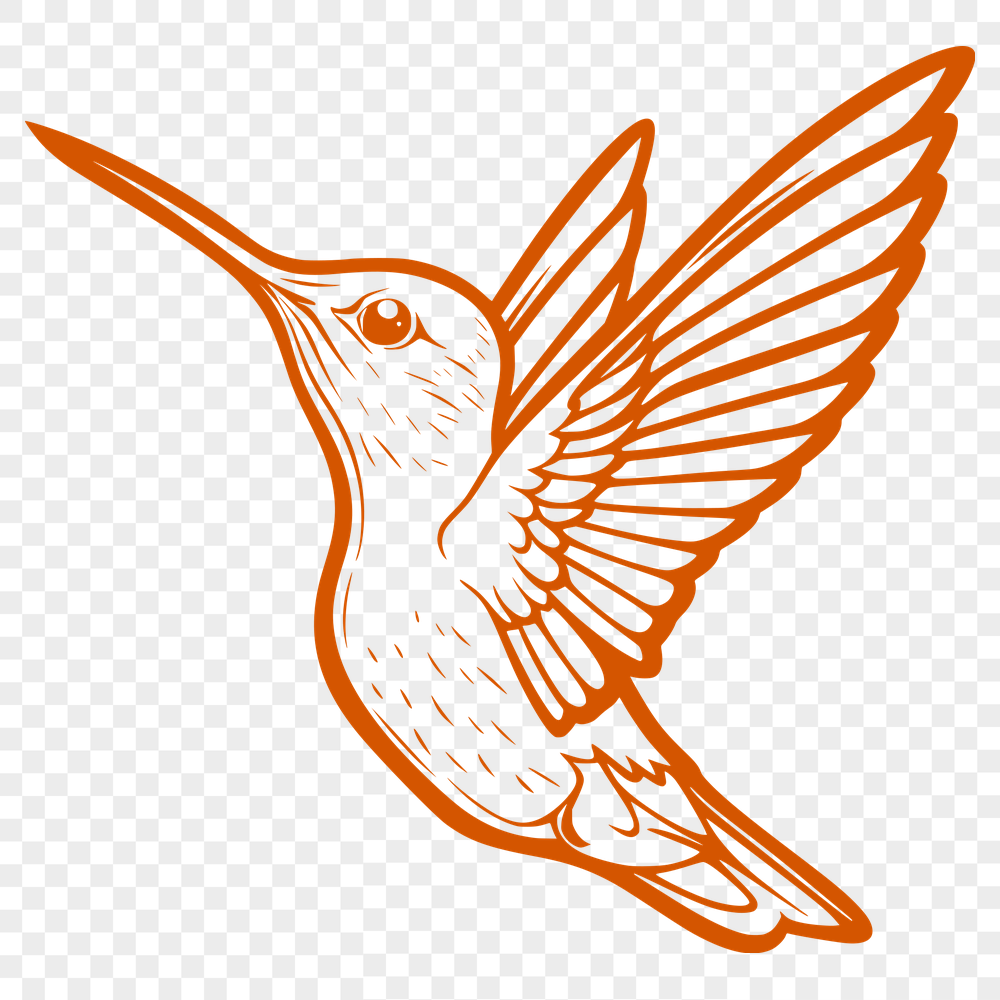 Free Unique Hummingbird Drawing