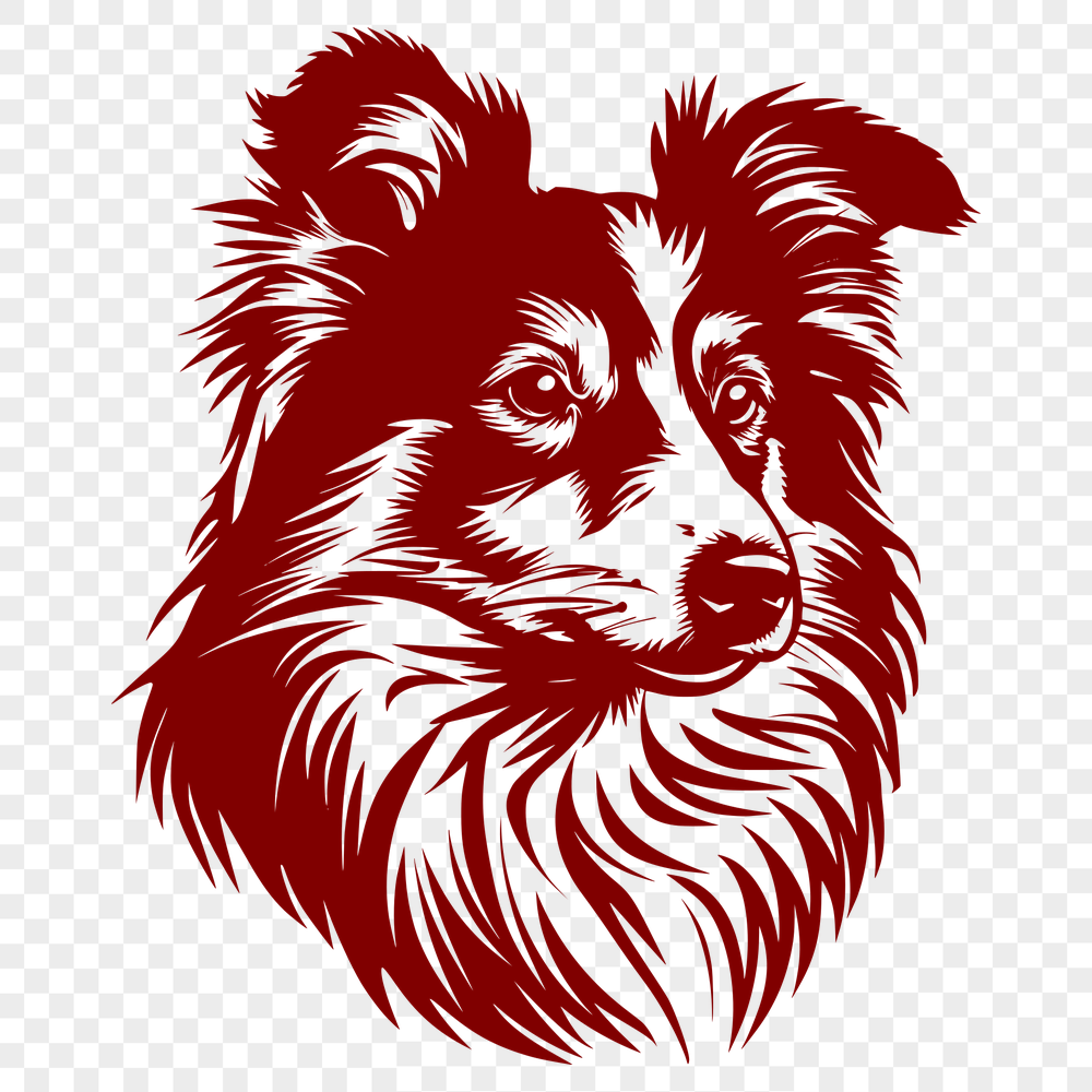 Free Shetland Sheepdog Vector Illustration