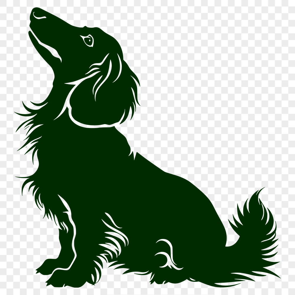 Stunning Sitting Dachshund DXF