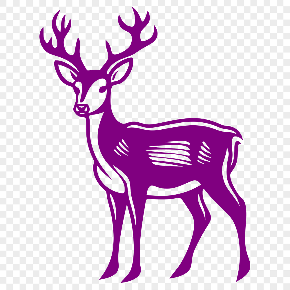 Artistic Deer Drawing