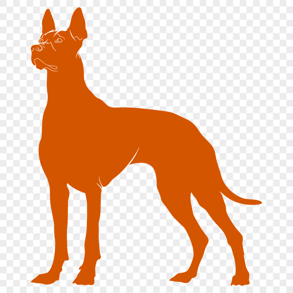 Unique Standing Doberman Pinscher SVG