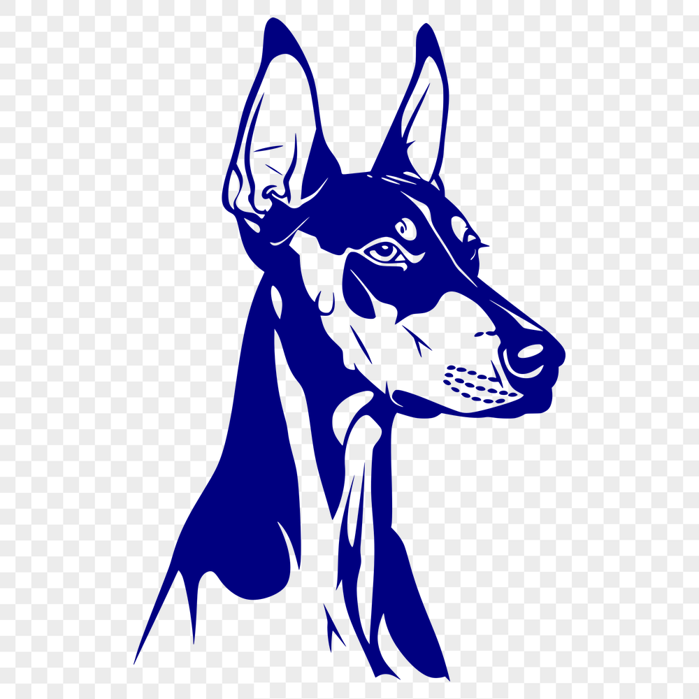 Creative Doberman Pinscher - For Procreate Project