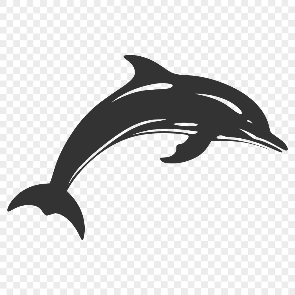 Free Free Dolphin Image