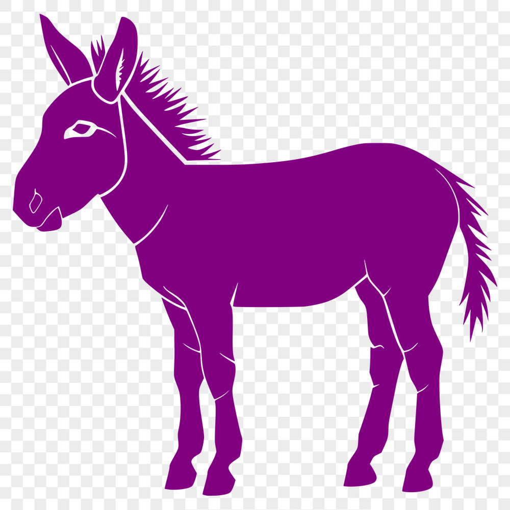 Stunning Donkey Clipart