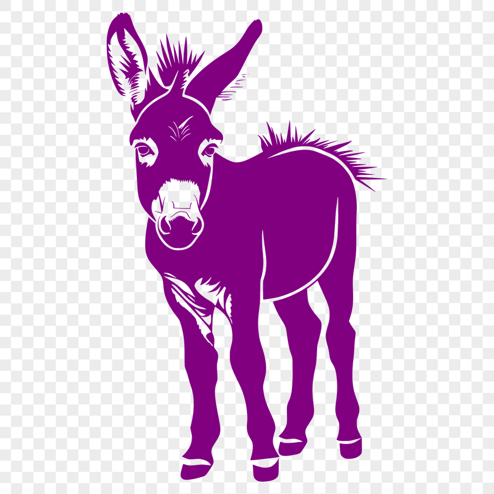 Unique Standing Donkey Clipart