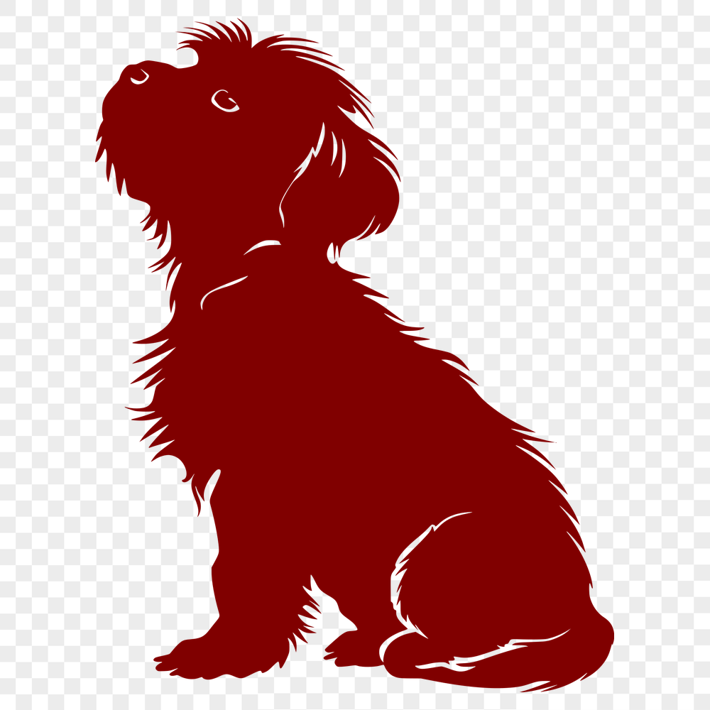 Free Unique Puppy Image