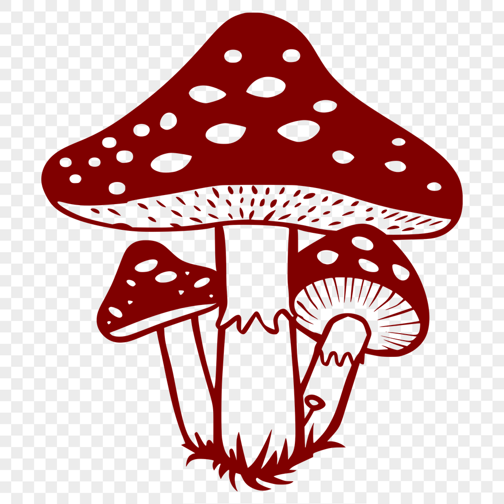 Beautiful Mushroom SVG, PNG, PDF And DXF Files