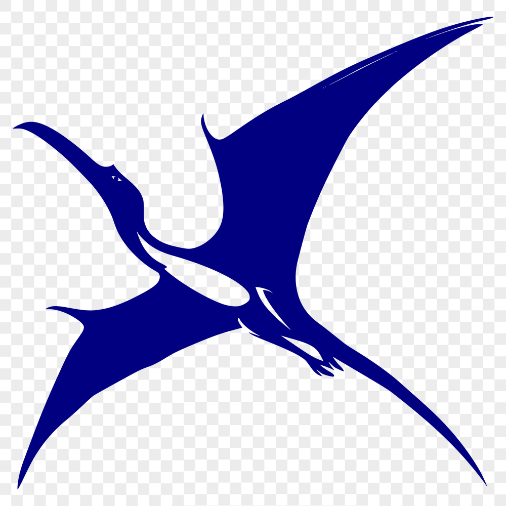 Unique Pteranodon Vector Image