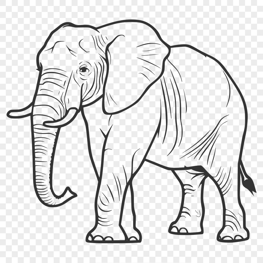 Stunning Elephant Vector Drawing