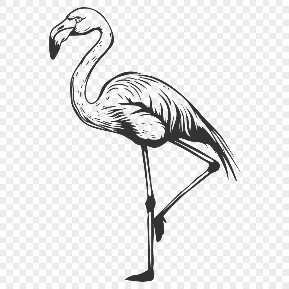 Creative Flamingo Decal