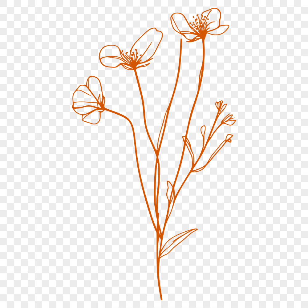 Wild Flower Vector Image In SVG, PNG, PDF And DXF Formats