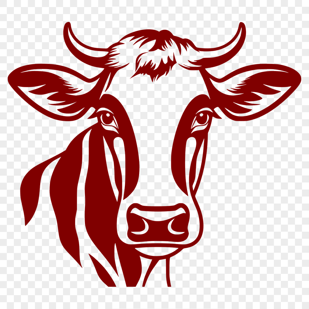 Stunning Cow Drawing