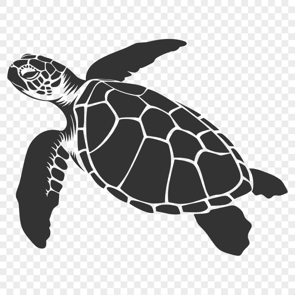 Creative Sea Turtle In SVG & DXF