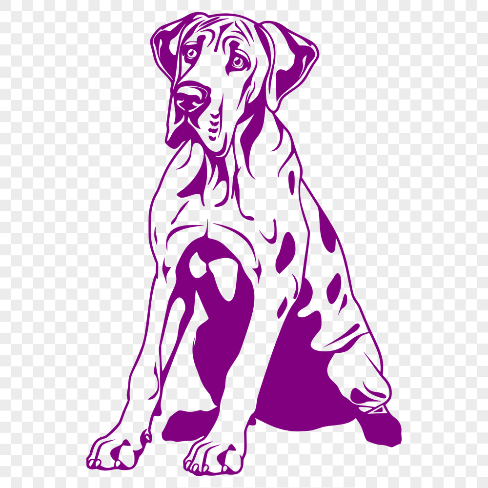 Free Free Great Dane Illustration