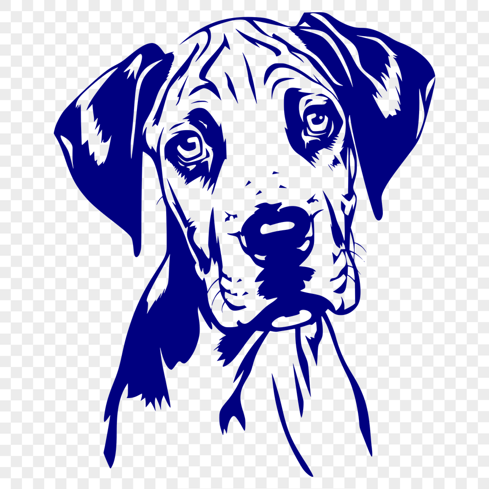 Unique Great Dane Illustration