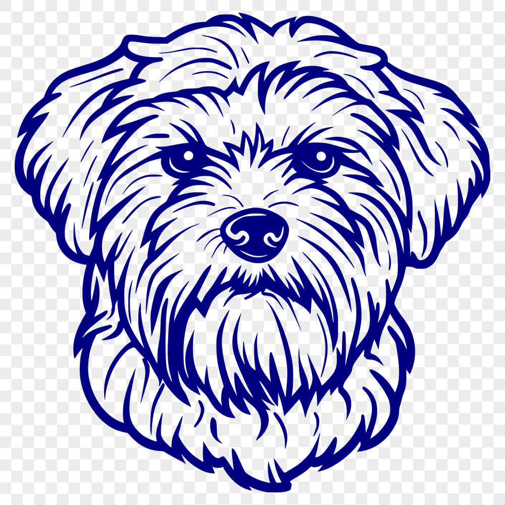 Free Creative Havanese Vector Art