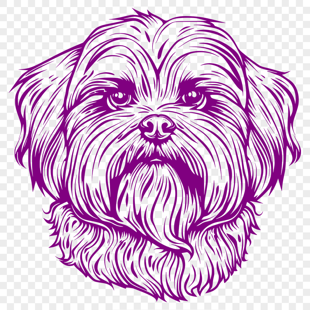 Stunning Havanese Digital Drawing