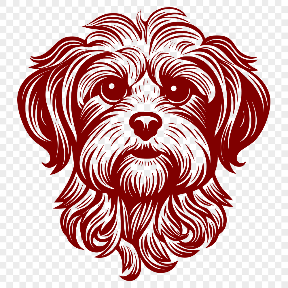 Unique Havanese Design