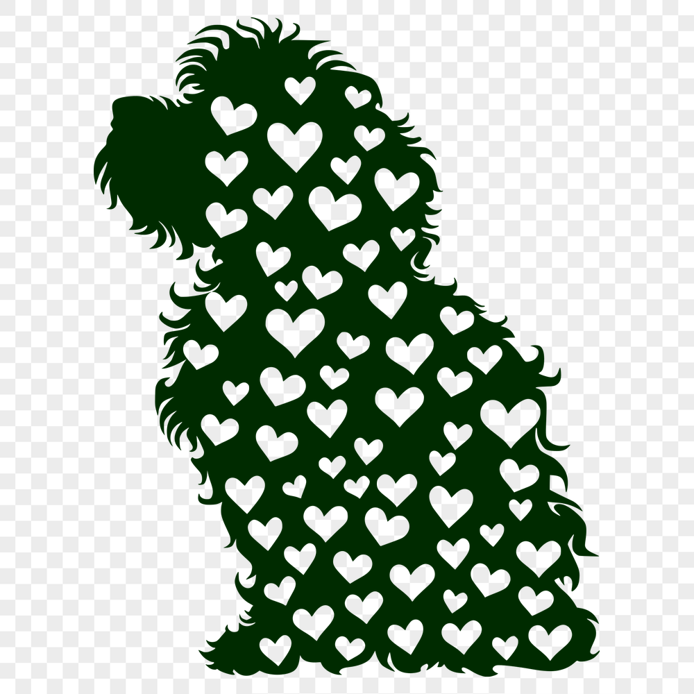 Free Sitting Havanese Vector Art