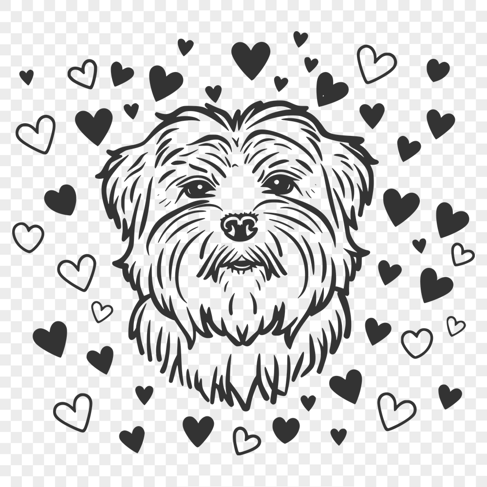 Beautiful Havanese SVG